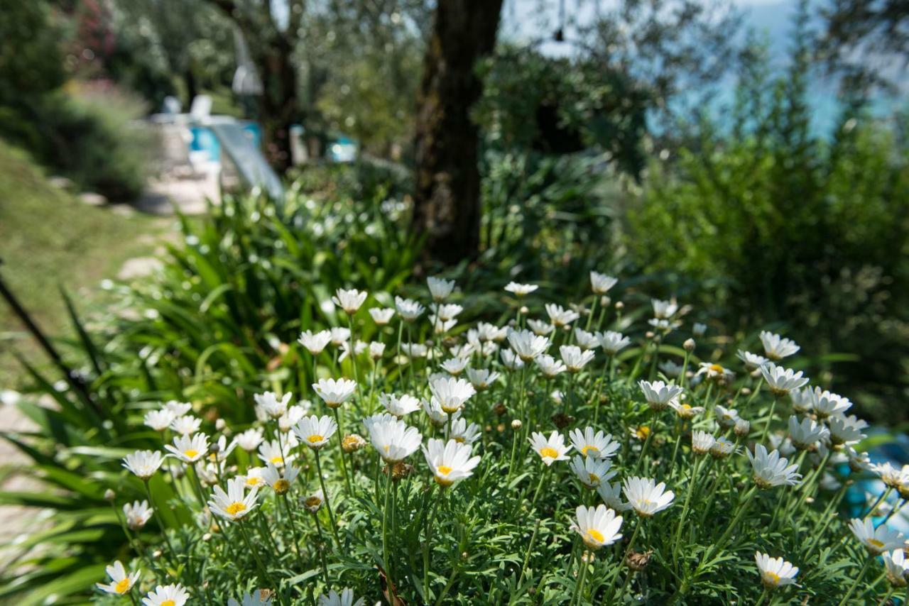 Villa Malcesine Eksteriør billede